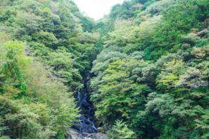 【紅葉速報】翁滝（10月下旬）