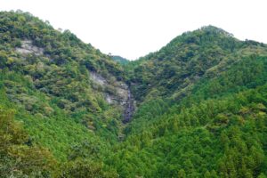 【紅葉速報】小金滝（10月下旬）