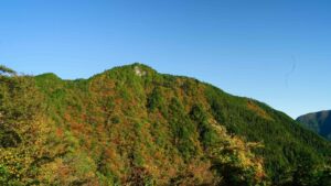 【2021紅葉速報】大北川