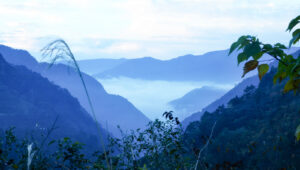 【雲海】山村広場