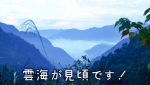 【雲海】