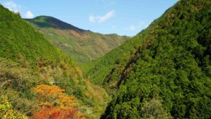 【2021紅葉速報】大北川