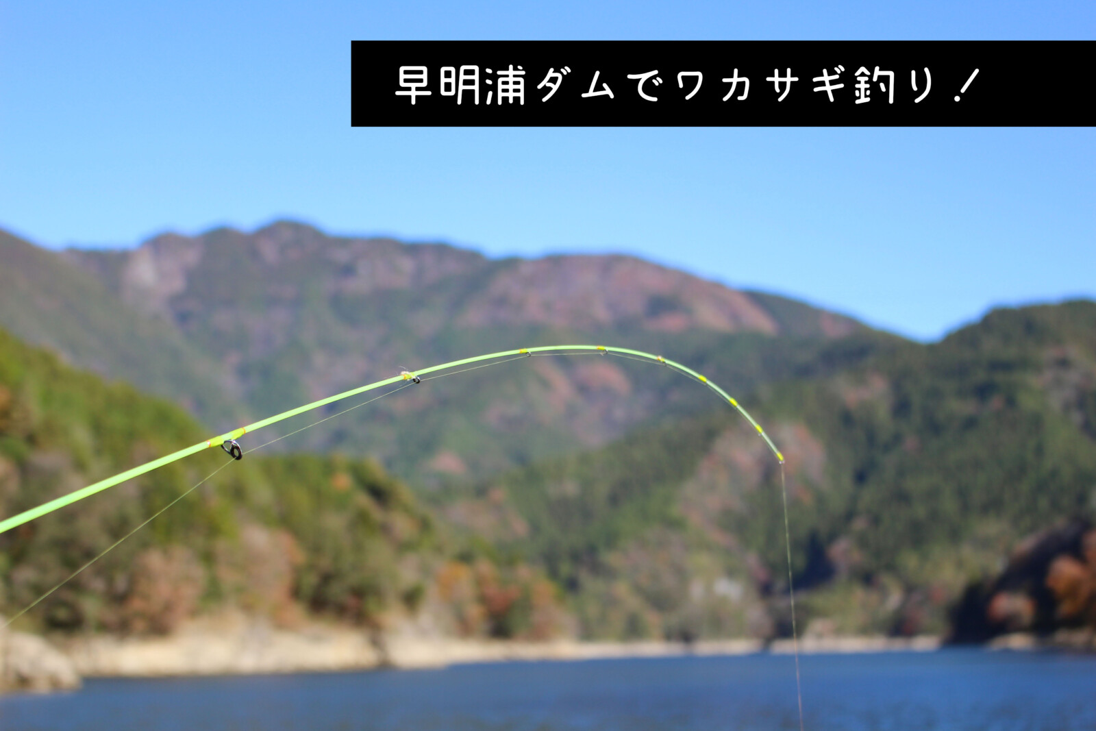 【早明浦ダムで冬の醍醐味！釣ったその場で天ぷらを楽しもう！】ワカサギ釣り【12月11日・25日】