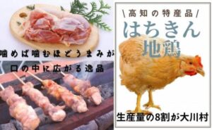 土佐はちきん地鶏