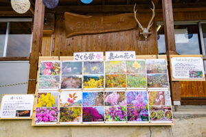 【2022さくら祭】お花の看板
