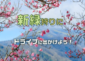 新緑の大川村サムネイル