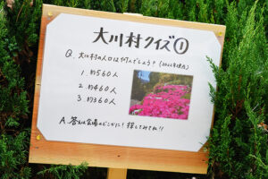 【2022さくら祭】立て看板