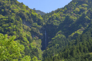 新緑の小金滝【春】