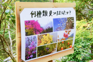 【2022さくら祭】立て看板