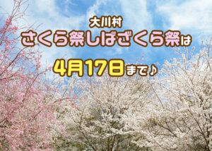 【2022さくら祭】