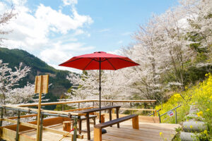 【2022さくら祭】展望台