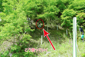 【どんぐり銀行】植樹祭