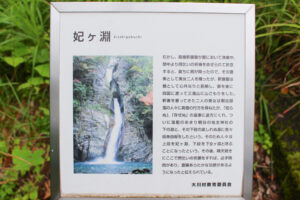 大川村フォトラリー妃ヶ渕