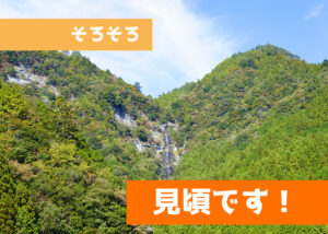 紅葉速報2022