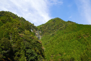 紅葉速報2022