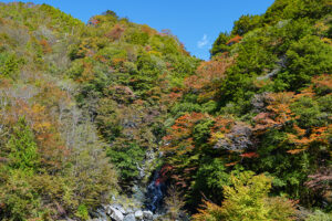 山々の紅葉2022