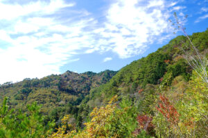 山々の紅葉2022