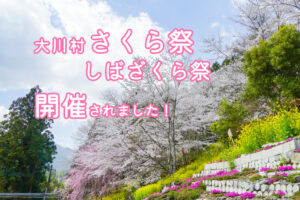 2023さくら祭