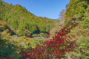 大北川の紅葉