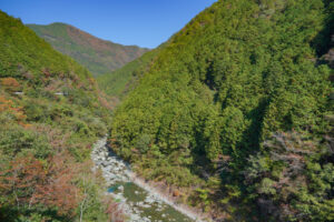 大北川白滝橋からの紅葉