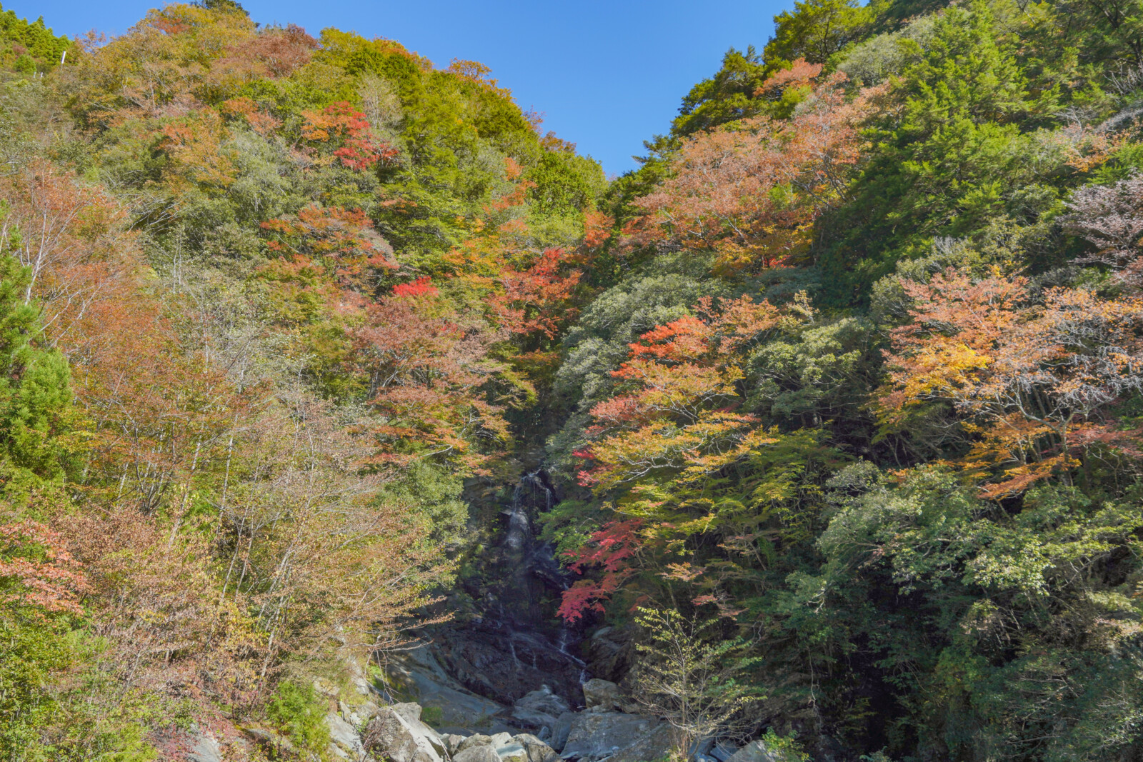 大北川翁滝の紅葉