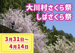 2024さくら祭