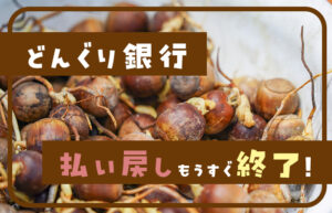 どんぐり銀行払い戻し終了