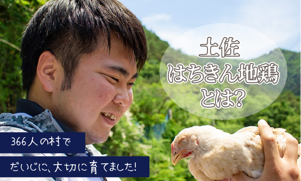 はちきん地鶏の冬ギフト