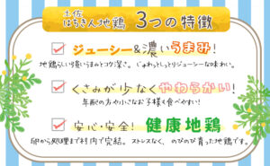 はちきん地鶏の冬ギフト