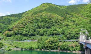 小松の山